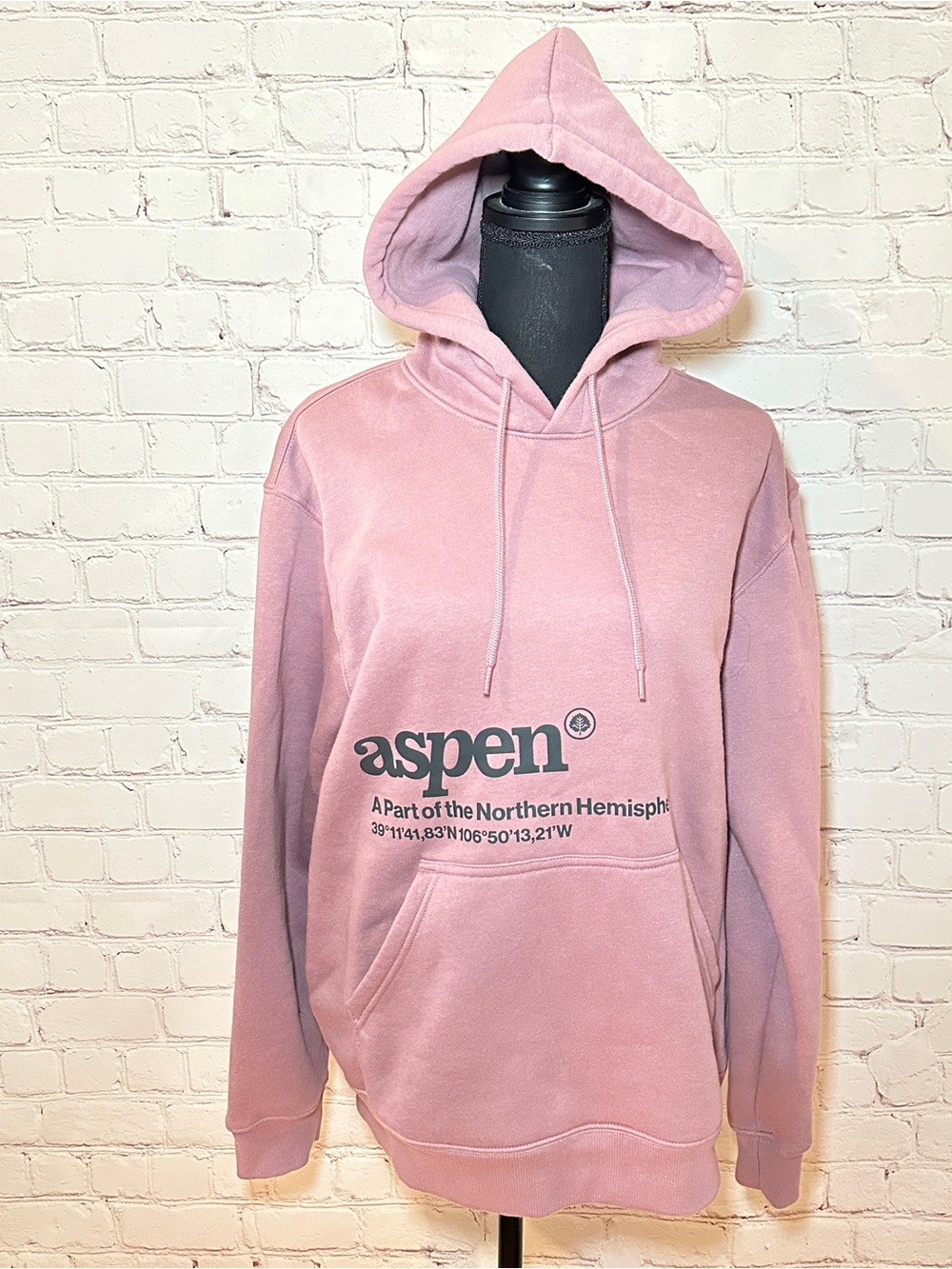 H&M hoodie
